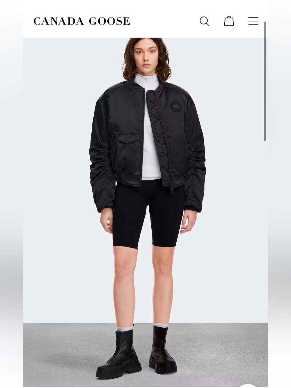 Canada goose